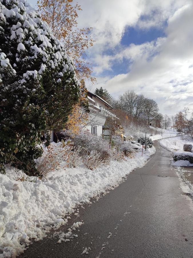 Apartamento Feldbergsicht Lenzkirch Exterior foto