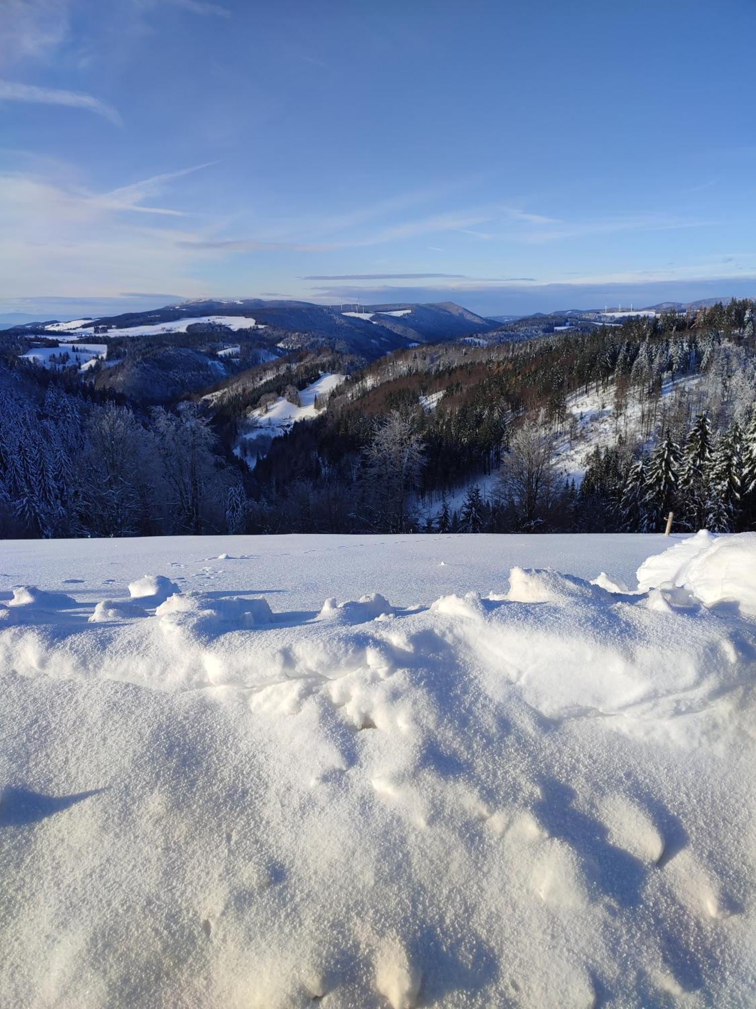 Apartamento Feldbergsicht Lenzkirch Exterior foto